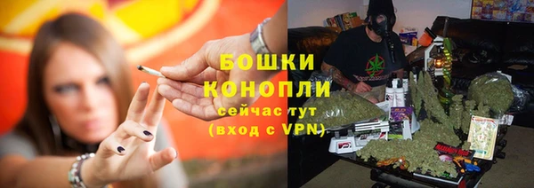 гашик Елизово