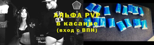 гашик Елизово