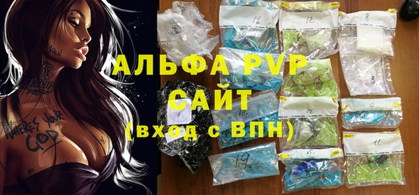 гашик Елизово