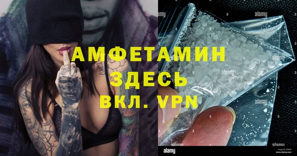гашик Елизово