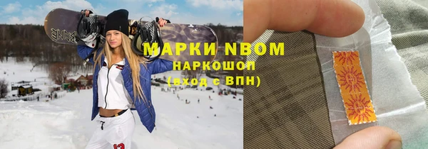 гашик Елизово